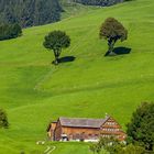  Typische Appenzellerlandschaft