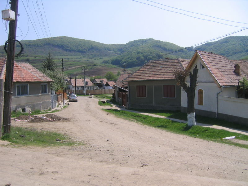 Typische Dorfstraße in Rumänien (Valea Lunga-Transilvania) Mai 2005