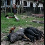 Typische Dorfszene in Zentrallaos, Khammouane Provinz, Laos