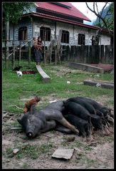 Typische Dorfszene in Zentrallaos, Khammouane Provinz, Laos