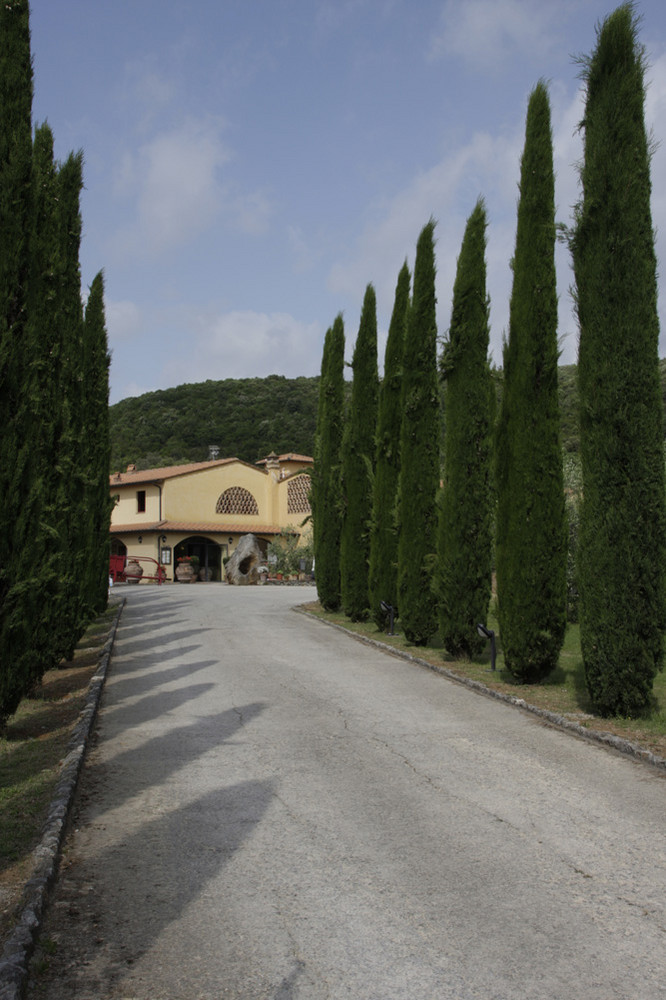 Typische Einfahrt in eine Fattoria