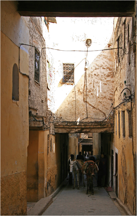 typische Gasse in Fes mit Transportmittel