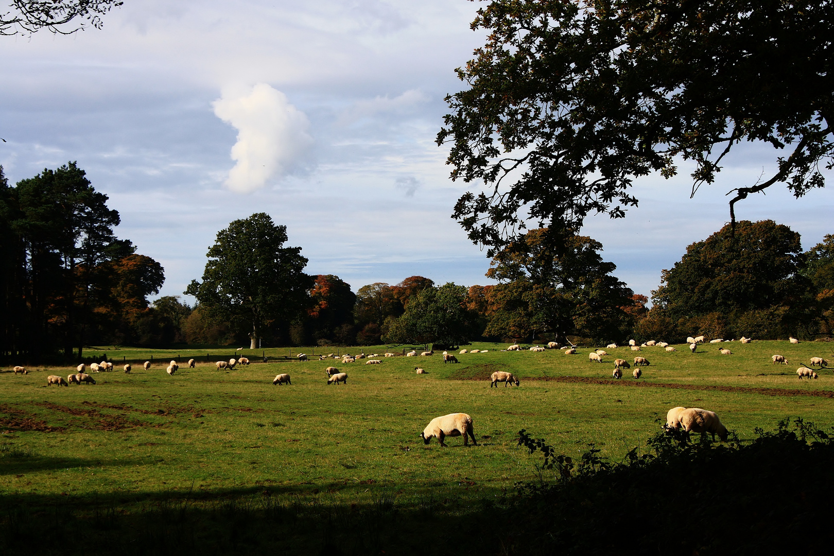 Typische irische Landschaft