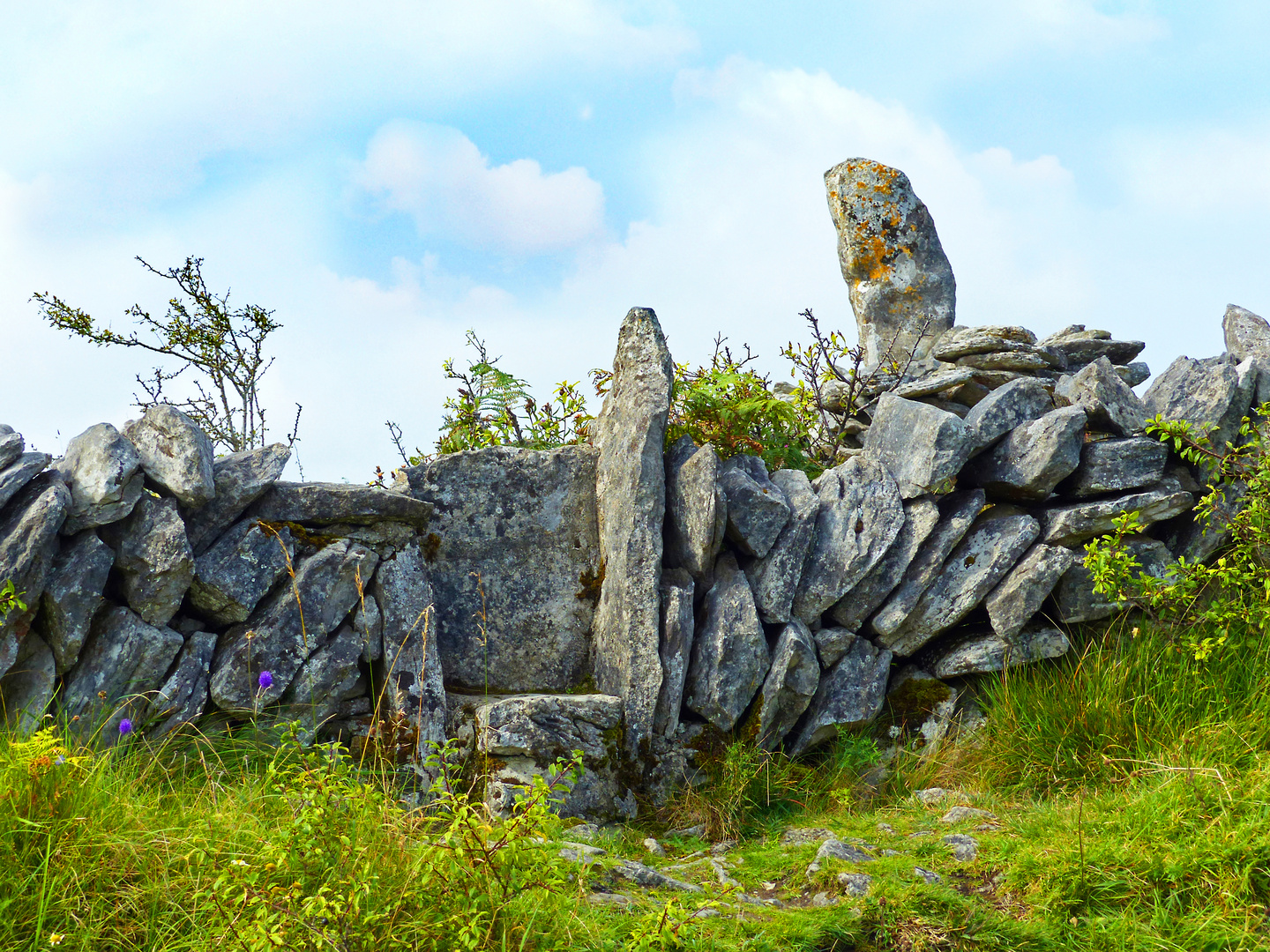 Typische Irische Mauer