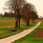 Typische Kraichgaulandschaft zwischen Derdingen und Flehingen