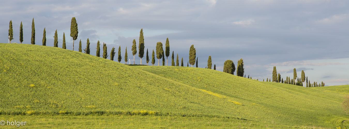 Typische Landschaft