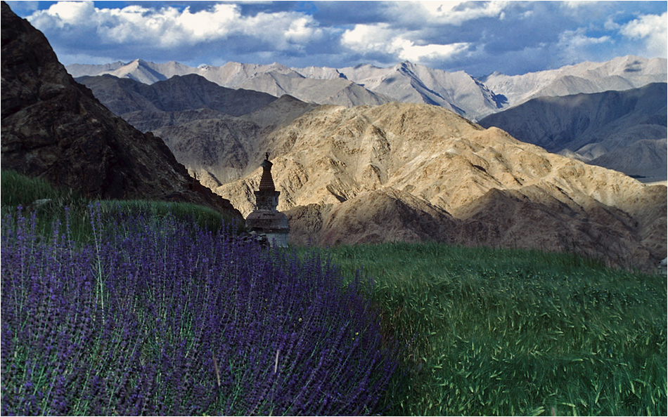 Typische Landschaft bei Hemis