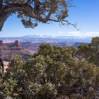 Typische Landschaft Canyonlands Nationalpark