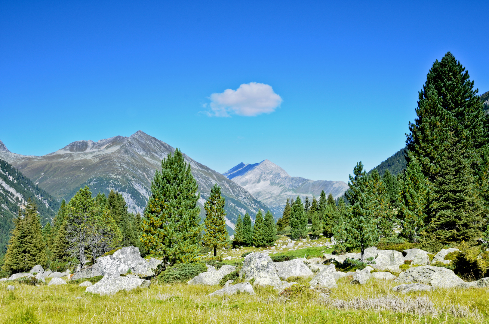 Typische Landschaft im Krimmlerarchen Tal