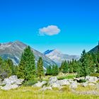 Typische Landschaft im Krimmlerarchen Tal