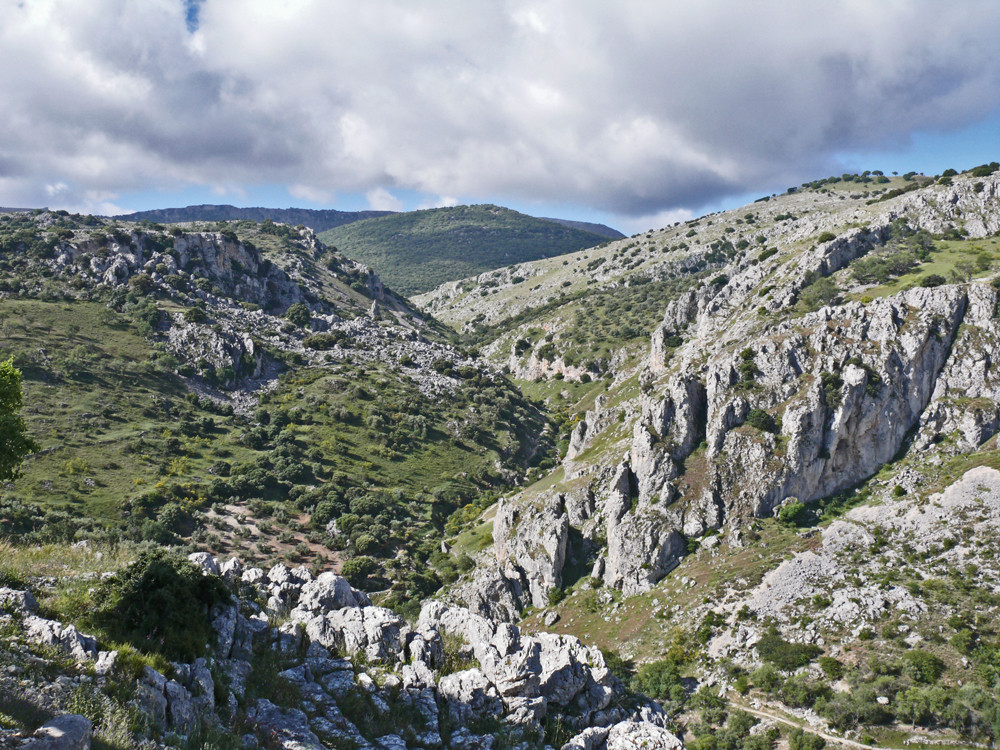 Typische Landschaft in den Andalusischen Bergen Cordobas