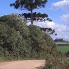 Typische Landschaft in Süd Brasilien