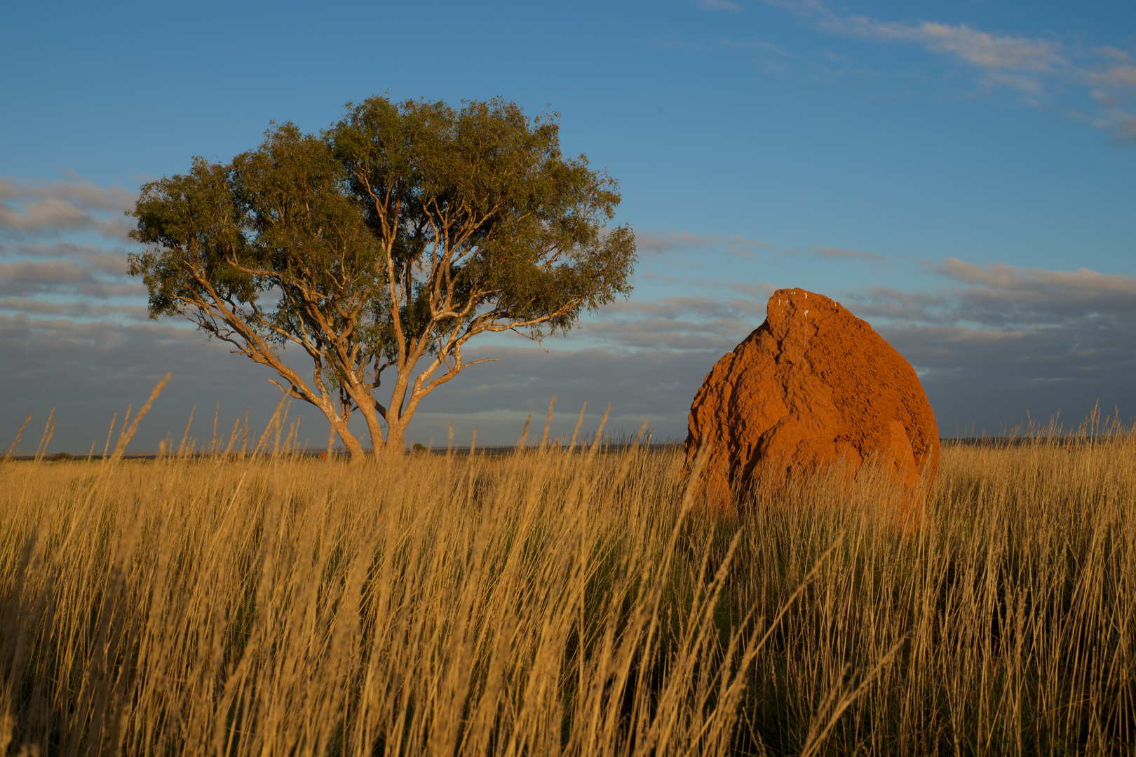 typische Landschaft in Western Australia