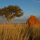 typische Landschaft in Western Australia