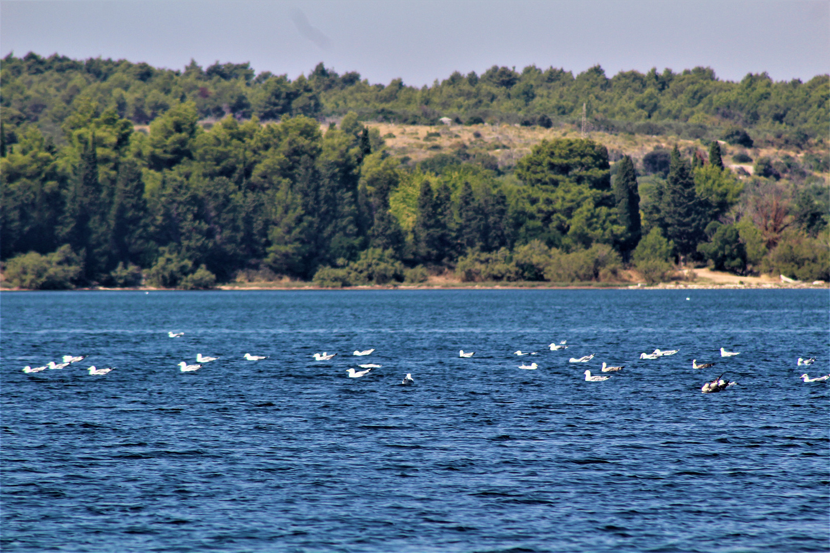 typische Landschaften in Kroatien am Meer