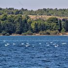 typische Landschaften in Kroatien am Meer