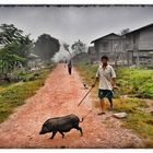 Typische morgendliche Dorfszene im Norden von Laos