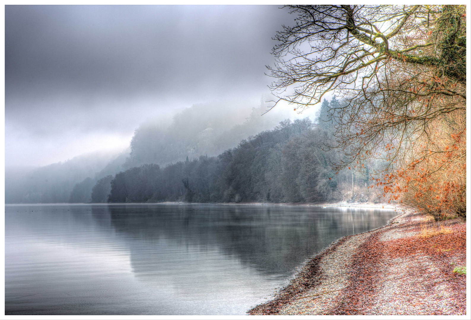 Typische Nebellandschaft im Winter am Bodensee