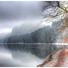 Typische Nebellandschaft im Winter am Bodensee