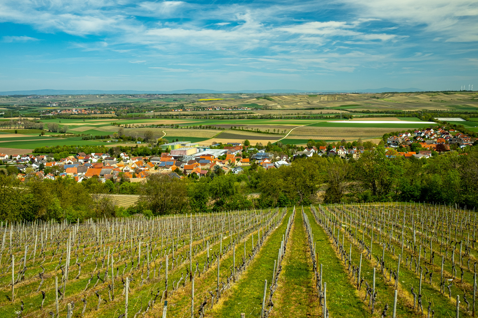 Typische rheinhessische Landschaft 