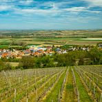 Typische rheinhessische Landschaft 