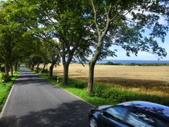 Typische Sommerlandschaft auf Rügen