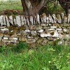 typische Steinmauer in Schottland