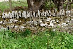 typische Steinmauer in Schottland