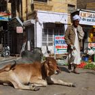 Typische Straßenszene in Indien, Jaisalmer