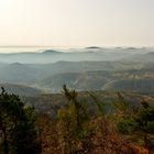 Typische Wasgaulandschaft mit Kegelbergen und Kuppen im Gegenlicht: Blick vom...