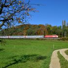 Typischer Herbstbaum