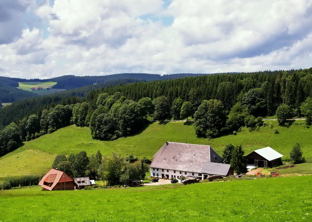 typischer Schwarzwaldhof bei Vöhrenbach