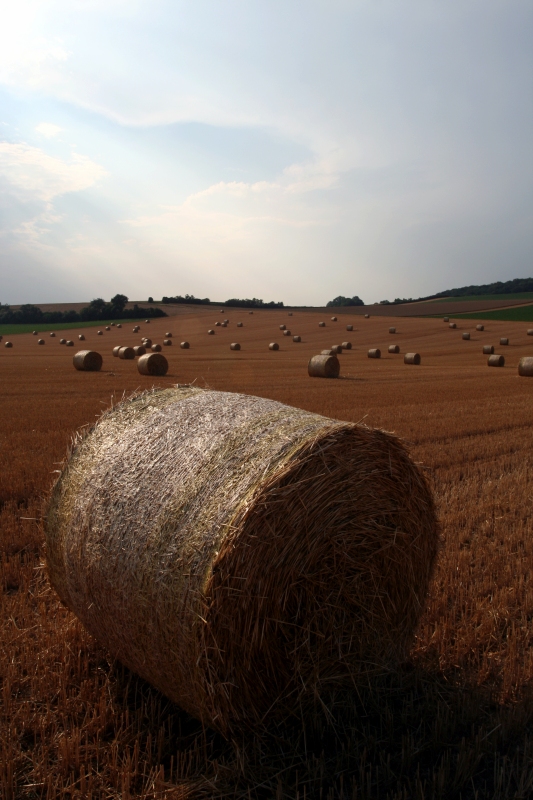 Typischer Sommerausblick