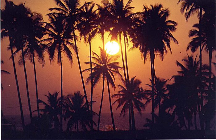 Typischer Sonnenunergang in Goa