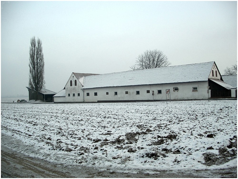 Typischer südsteirischer Hof