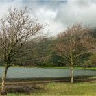 "Typisches Aprilwetter" - Sao Miguel, Azoren, Ende April 2016