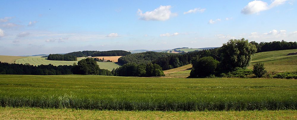 Typisches hügeliges Erzgebirgsvorland in der Nähe von Augustusburg