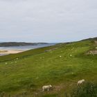 typisches Landschaftsbild in Schottland