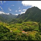 Typisches Madeira