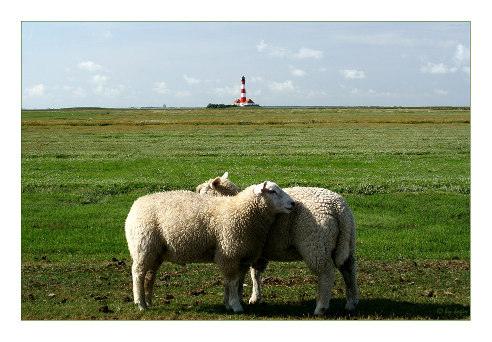 Typisches Tourifoto - Knuddelromantik vorm Leuchtturm