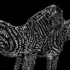 Typographic Zebras