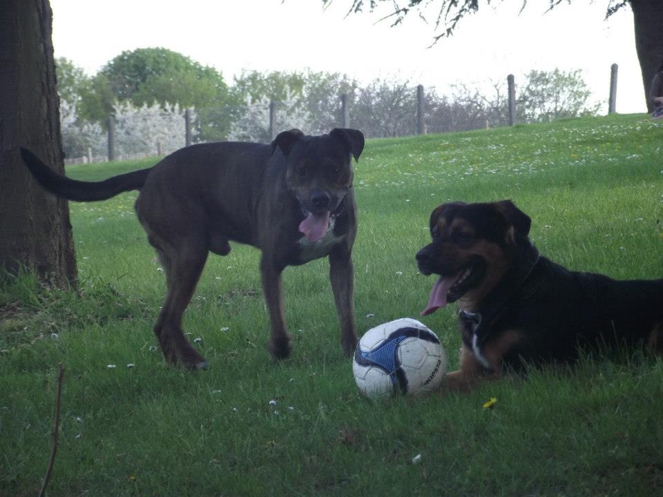 tyron et tord au parc !!!!