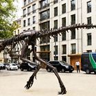tyrrex -fo1X-f24  __BEWARE! (Quirks of London)__