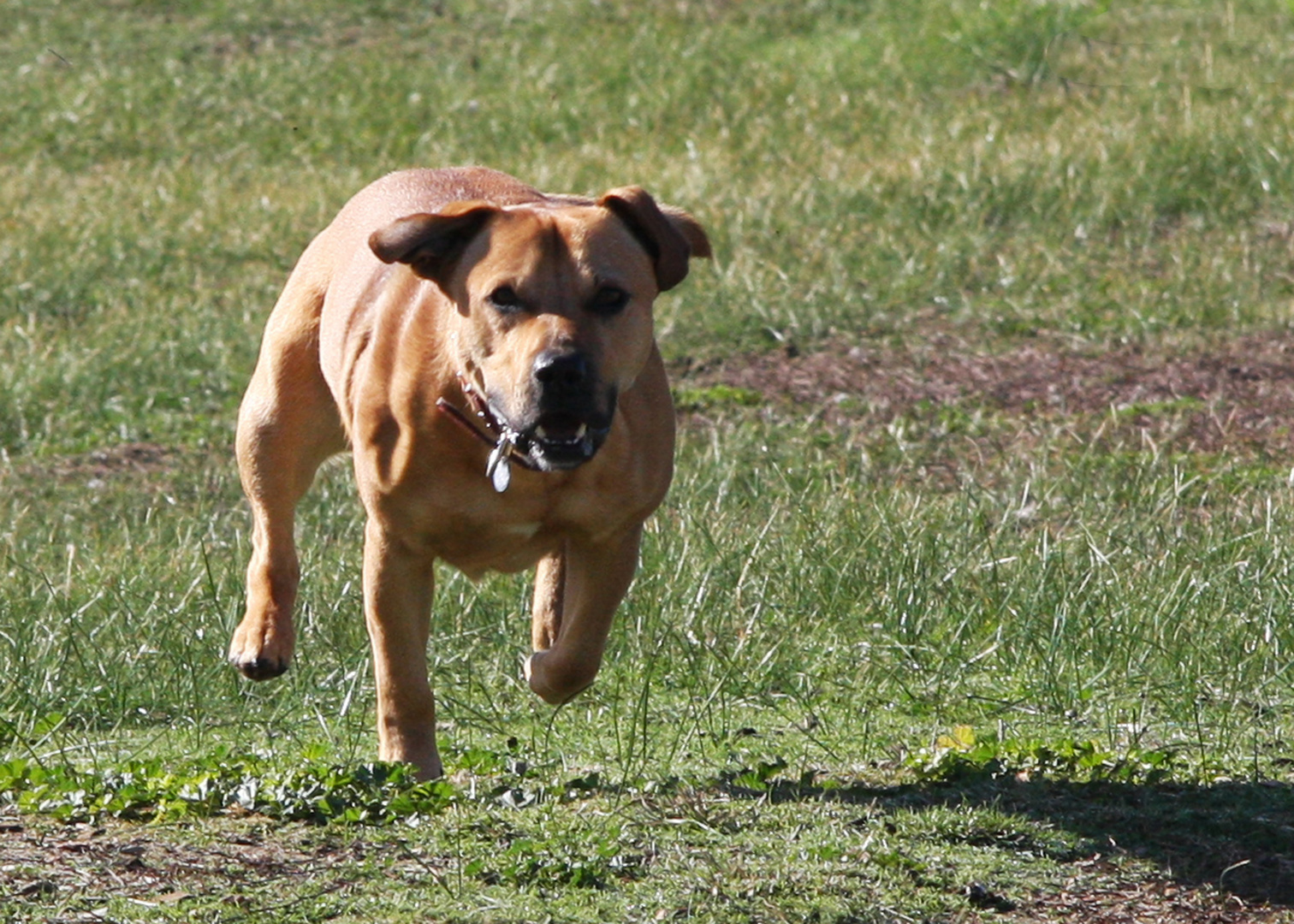 Tyson Running