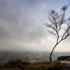 Tyssaer Wände - Böhmische Schweiz