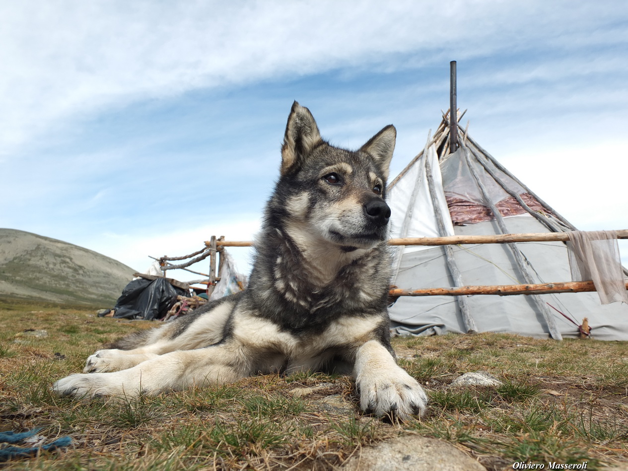 Tzaatan village - Mongolia