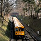 U-Bahn nach Krumme Lanke