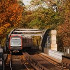 U-Bahnstrecke im Herbstlaub