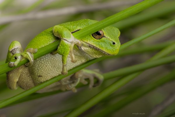 ! ! ! u n e r h ö r t . f r e c h . & . p r o v o k a n t ! ! ! 