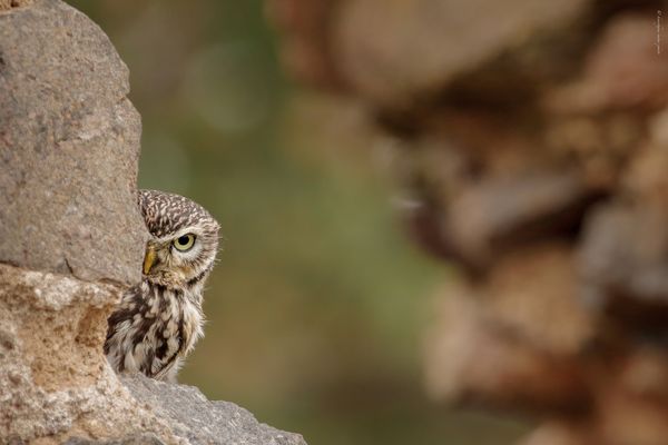 u n s c h l ü s s i g . o d e r . v o r s i c h t i g 